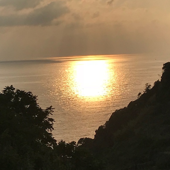 Meet your Posher, Mona - Picture 1 of 1